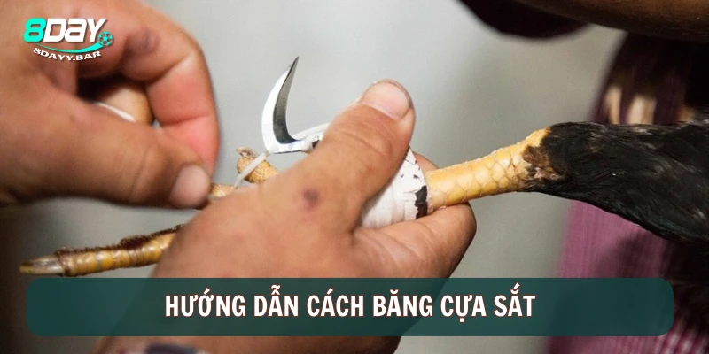 Hướng dẫn cách băng cựa sắt