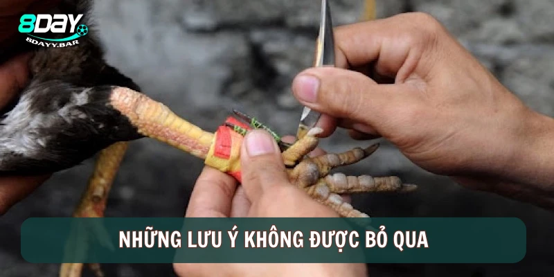 Những lưu ý không được bỏ qua