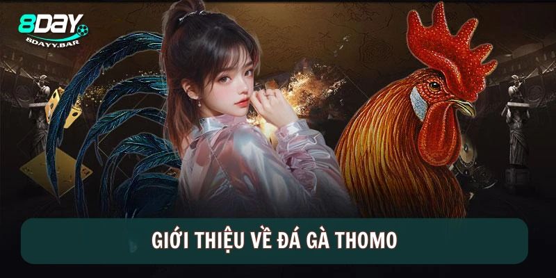 Giới thiệu về đá gà Thomo