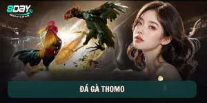 Đá gà Thomo