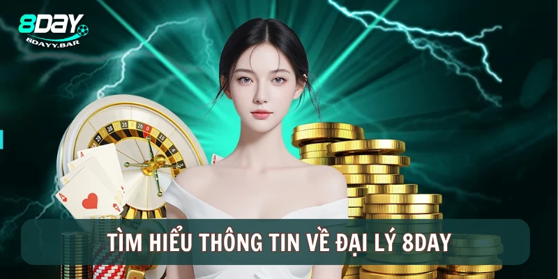 Tìm hiểu thông tin về đại lý 8DAY