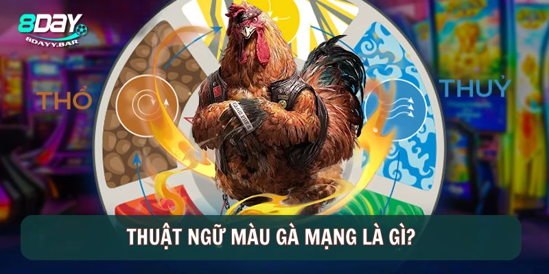 Thuật ngữ màu gà mạng là gì?