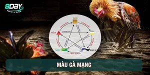 Màu Gà Mạng