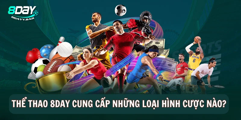 Thể thao 8DAY cung cấp những loại hình cược nào?